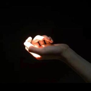 黑森林福利视频导航
