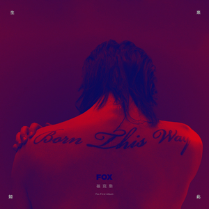 黑森林福利视频导航
