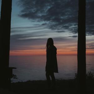 黑森林福利视频导航
