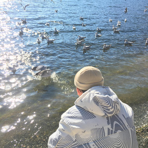 黑森林福利视频导航
