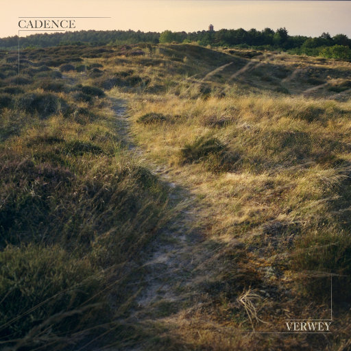 黑森林福利视频导航
